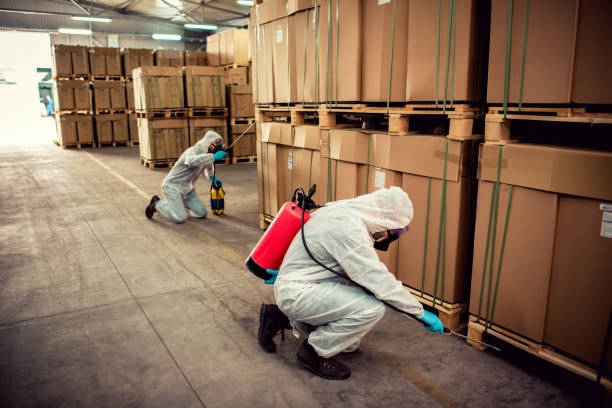 Best Affordable Pest Control Services  in Claremont, CA