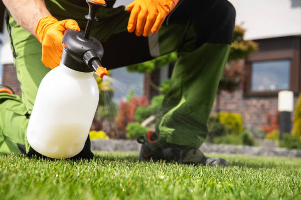 Best Mosquito Control Services  in Claremont, CA
