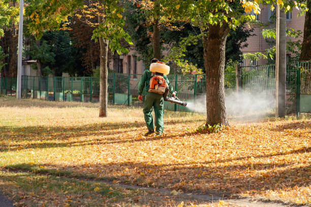 Best Affordable Pest Control Services  in Claremont, CA