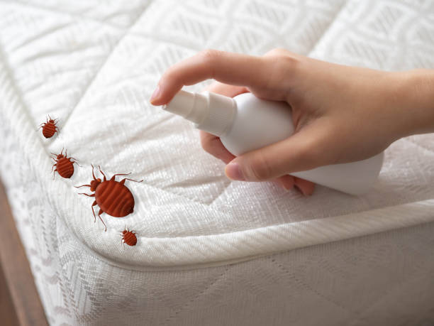 Pest Control Cost in Claremont, CA