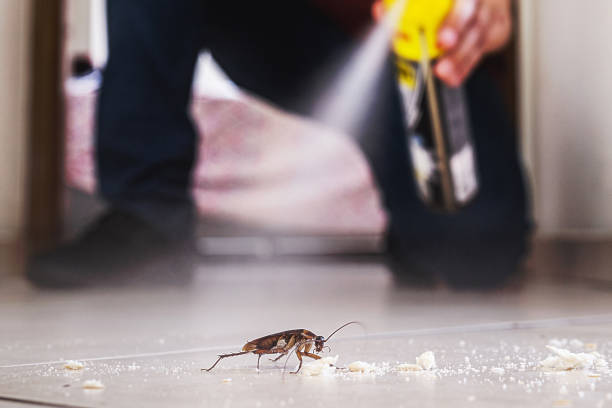 Best Insect Control  in Claremont, CA