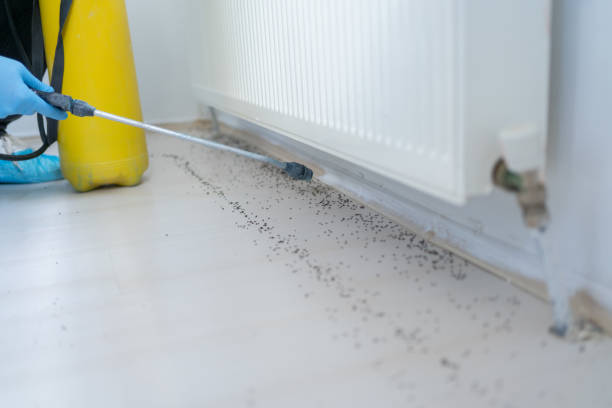 Best Pest Prevention Services  in Claremont, CA