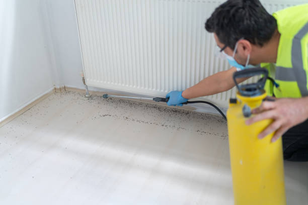 Best Pest Inspection Near Me  in Claremont, CA